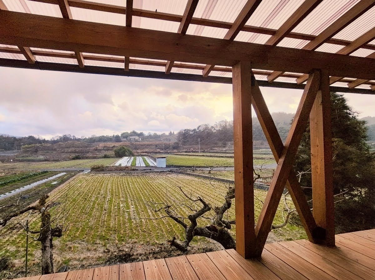 縁側から見る里山の借景